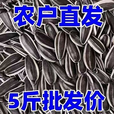 【现炒现发】生熟可选内蒙古新货葵瓜子炒熟葵花原味炒熟大袋批发