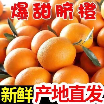 【彩箱】正宗高山脐橙新鲜现摘孕妇水果橙子皮薄超甜整箱批发价