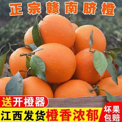 【精品】正宗赣南脐橙新鲜赣州橙子江西甜橙水果果冻鲜橙批发包邮