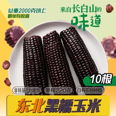 【长白山众品源】黑糯玉米10棒自有农场0添加非即食非转甜糯玉