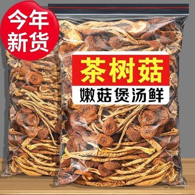 【净重】古田不开伞茶树菇批发农家特产干货新货茶树菇新鲜料煲汤