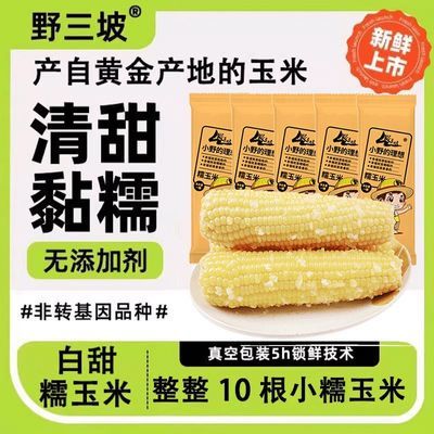 野三坡24年新鲜采摘糯玉米真空粘糯玉米苞米旗舰店更嫩的宝宝白