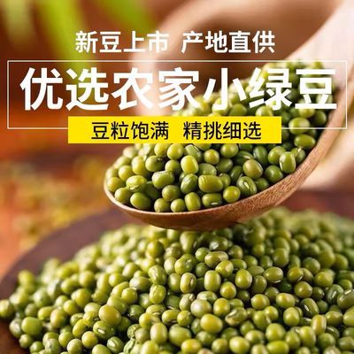 云南绿豆新货绿豆粥解暑绿豆汤农家五谷杂粮新绿豆可发绿豆芽自产