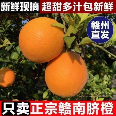 正宗江西赣南脐橙新鲜橙子10斤当季水果手剥批发赣州纽荷尔包邮