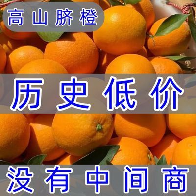 【爆甜脐橙】当季橙子新鲜水果高山脐橙应季手剥甜橙榨汁批发整箱