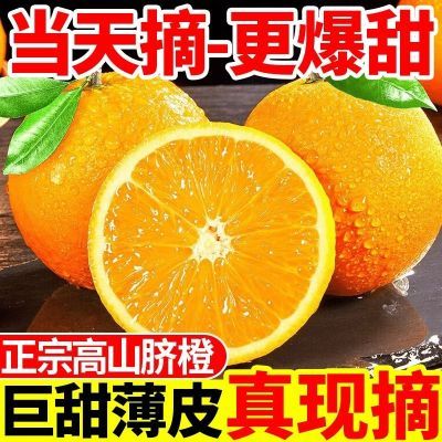 【正品】当季新鲜脐橙水果高山糖橙薄皮橙子甜橙批发非赣南榨汁橙