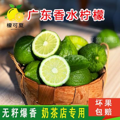 【产地直发】正宗广东香水柠檬手打柠檬茶奶茶店专用一整箱批发