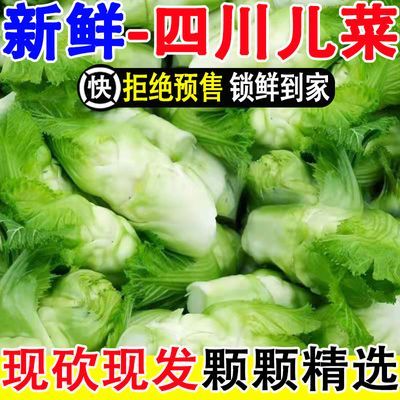 儿菜新鲜抱儿子菜正宗娃娃菜嫩儿仔四川当季蔬菜火锅食材批发