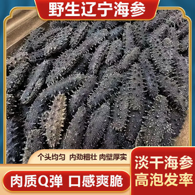 正宗辽宁淡干海参成色自然高泡发营养丰富正品高品质海参