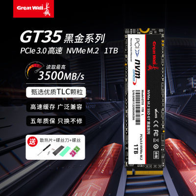 GT35 1TB 2TB M.2 PCIE 3.0 ̬Ӳ̱ʼǱSSD̨ʽ NVME ʵ275Ԫ