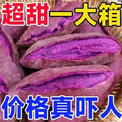 【5 斤大促销】紫薯新鲜沙地紫薯紫罗兰新鲜小紫地瓜非山药整箱