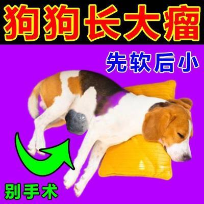 狗狗乳腺瘤宠物肿瘤草本脂肪瘤粉瘤硬块囊肿凸起肉疙瘩正品