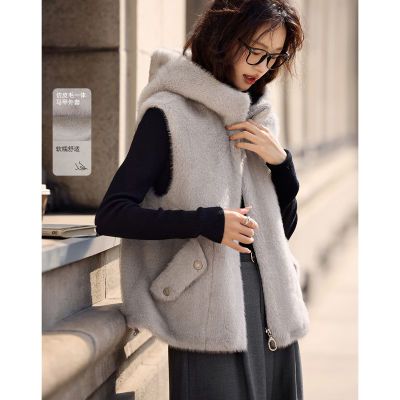 ڲMOHO&MOĭ 2025¿ʱůñӺů 197Ԫ