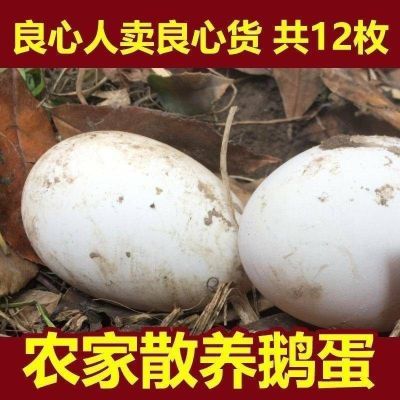 【坏蛋包赔】散养农家正宗土鹅蛋自养土鹅蛋批发一箱孕妇宝宝