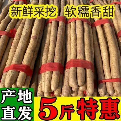 新鲜垆土铁棍山药河南焦作温县正宗怀山药淮山药整箱批发铁杆蔬菜