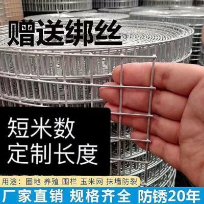 热镀锌钢丝网防锈养殖网围栏网家用防鼠铁丝网防锈电焊网阳台小孔