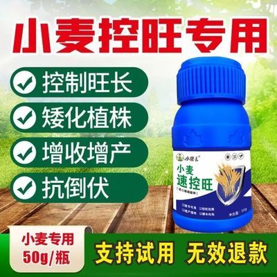 小麦专用控旺药旺长徒长疯长生根壮苗农用矮化矮壮素叶面肥肥料