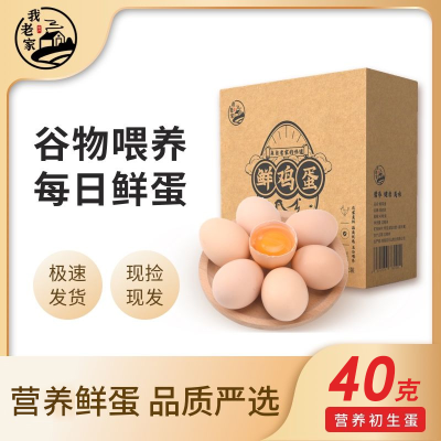 ڲϼ ũҹﵰ40ɢι10/40ö10.4Ԫ