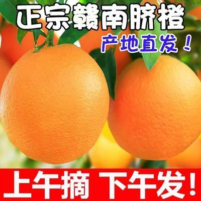 精品正宗赣南脐橙橙子新鲜江西赣州果冻橙手剥冰糖甜橙应当季水果