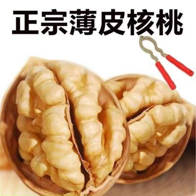 2024新货正宗新疆薄皮核桃纯天然核桃原味生核桃坚果孕妇零食