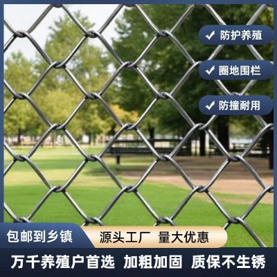 牛羊加粗防护网钢丝网养鸡围栏网加粗超硬鹅围栏防护栏耐用网护栏