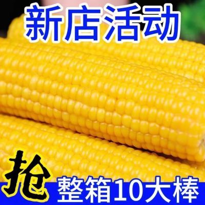 秒抢】东北正宗黄糯玉米低脂黏糯非转基因独立包装一整箱减脂代餐