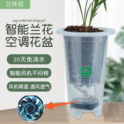 护根智能花盆不闷根烂根有机绿植兰花懒人植物盆景室内高颜值高档