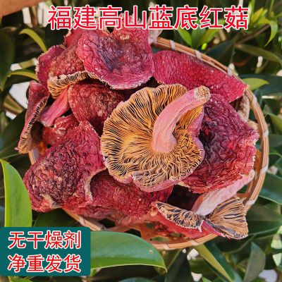 正宗红菇干货特产蓝底滋补月子菇野生福建三明煲汤蘑菇红菌小开伞