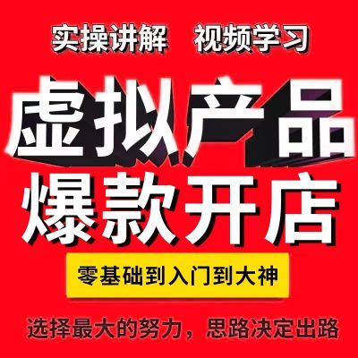 虚拟开店多多2024新运营教程一对一指导新手零基础无货源项目网创