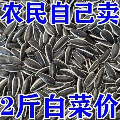 瓜子新货内蒙古新鲜2024葵花籽原味炒熟批发颗粒散装炒货零食