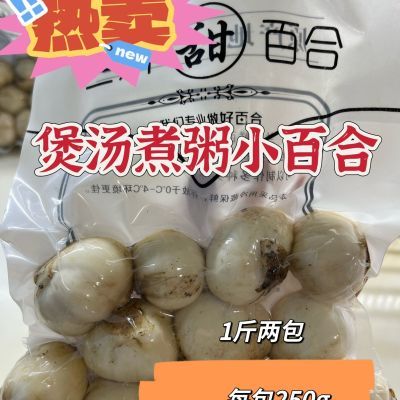 甘肃兰州新鲜食用甜百合小百合农家种植煲粥甜百合