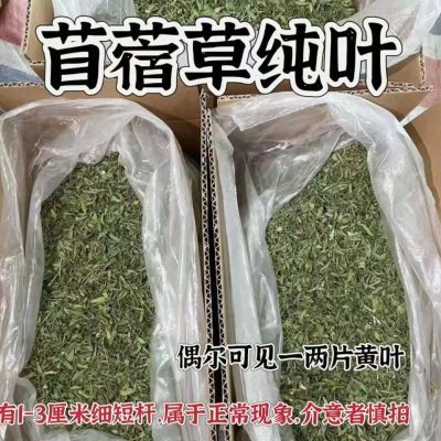 苜蓿草纯叶紫花苜蓿草饲料幼兔兔子草龙猫荷兰猪草牧草兔粮苜蓿草