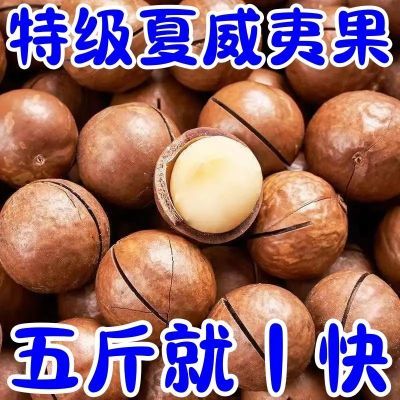 【太便宜了】夏威夷果新货颗粒袋装奶油坚果零食干果批发送开口器