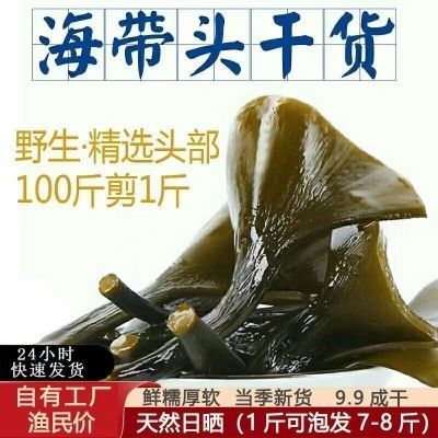 火锅食材特厚日晒带头炖汤一斤 半斤 100克海带头特厚炖汤批