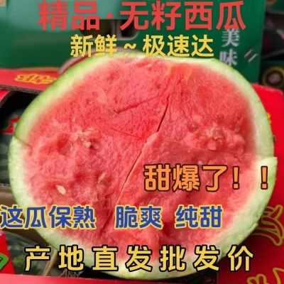 云南西双版纳麒麟无籽西瓜