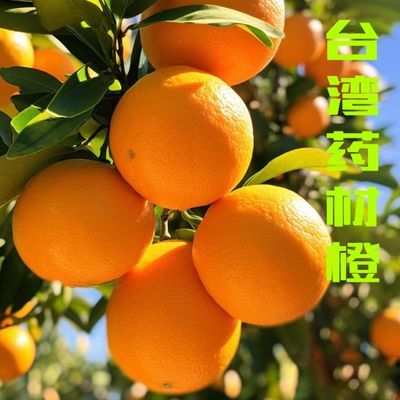 台湾药材橙无籽当季新鲜水果榨果汁好材料批发包邮