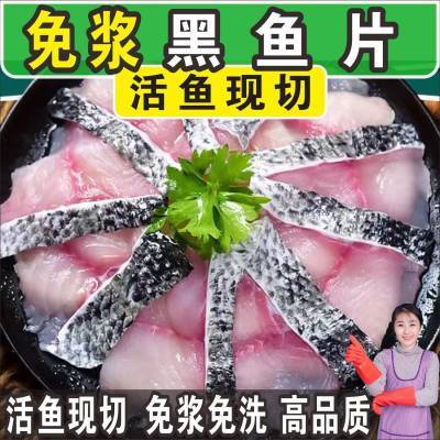 【特价中 黑鱼片】黑鱼片免浆酸菜鱼片火锅食材免洗活鱼现切批发