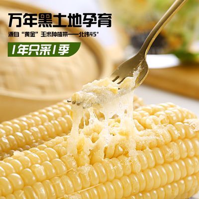 东北白糯玉米  铝箔 到手10小支