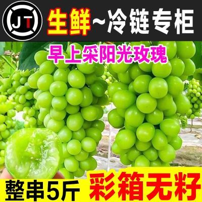 生鲜专线】现摘阳光玫瑰晴王葡萄香印青提子无籽新鲜水果整串包邮