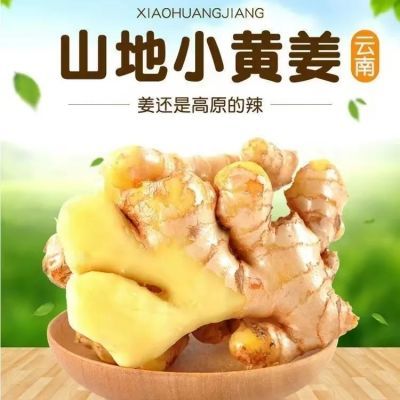 【热卖抢购688w+】云南新鲜当季小黄姜生姜现挖现发包邮鲜姜