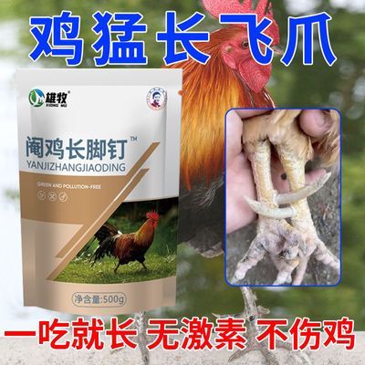 正品土鸡长脚钉特快公鸡长脚蹬子飞爪专用红冠子亮羽毛补钙促生长