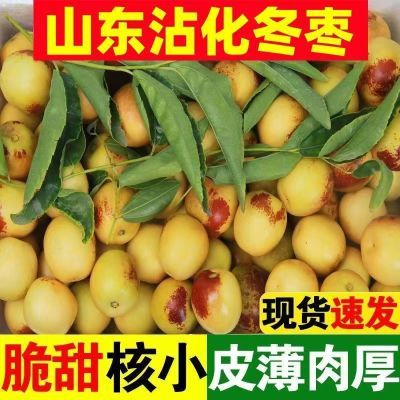 【山东沾化】冬枣新鲜应季水果冬枣精品小果脆甜一整箱好吃包邮