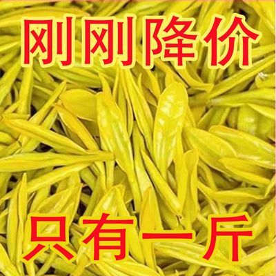 正宗2024黄金芽黄金牙新茶特级明前新茶高档奶香型浓香型绿茶