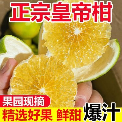 正宗广西皇帝柑橘新鲜应季水果青皮皮薄多汁