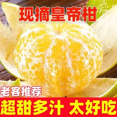 【现摘发货】正宗皇帝柑当季柑橘薄皮橘子非耙耙丑橘新鲜水果砂糖