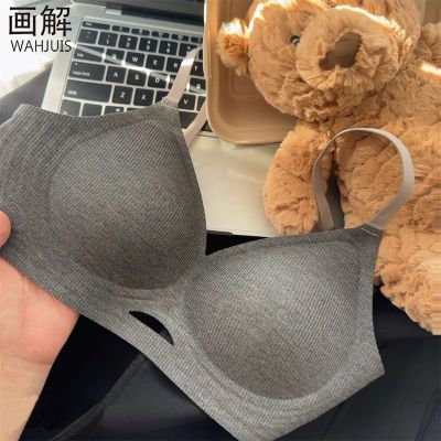 ڲ޺ŮСؾ£ļС޸Ȧ´15.9Ԫ