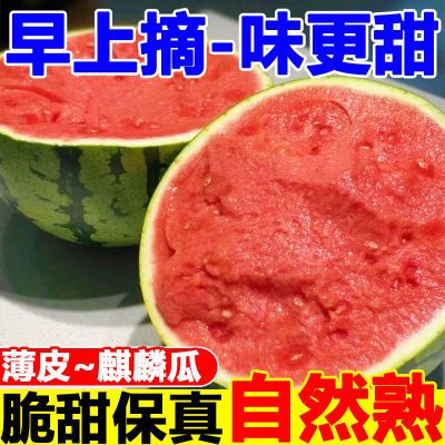 正宗无籽麒麟冰糖超甜薄皮8424当季西瓜应季现摘整箱新鲜水果