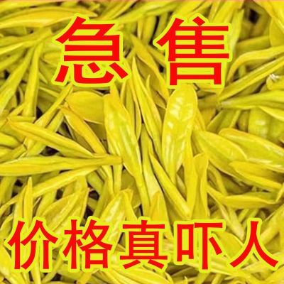 一芽一叶浙江安吉白茶正宗特级黄金芽新茶浓香耐泡型绿茶罐装批发