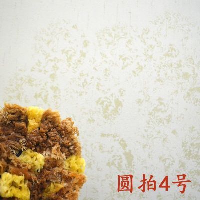 海藻拍艺术漆天然海藻绵拍三色珠光幻彩漆施工点彩海绵拍花工具清