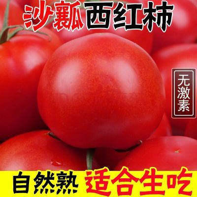 四川西红柿露天番茄新鲜整箱水果批发自然攀枝花云南普罗旺斯沙瓤